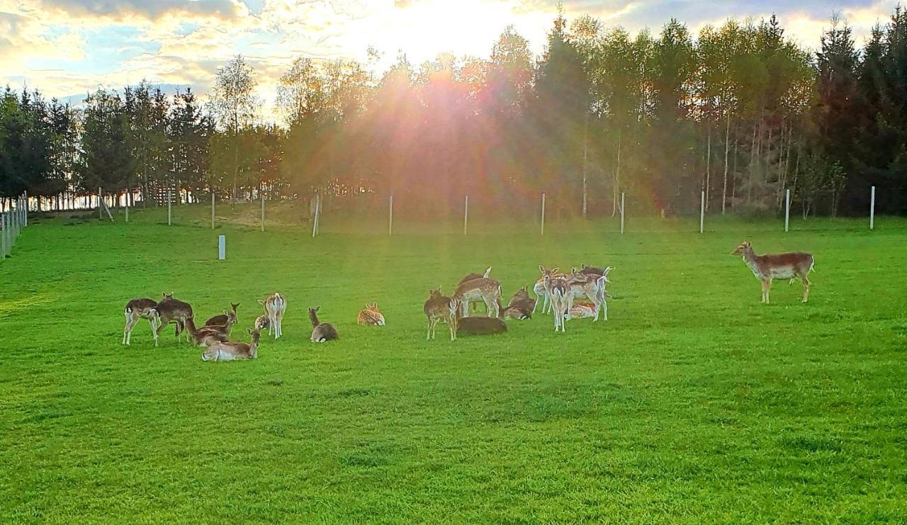 Przystan Nad Zatoka - Gospodarstwo Agroturystyczne Lubieszewo  Exterior foto