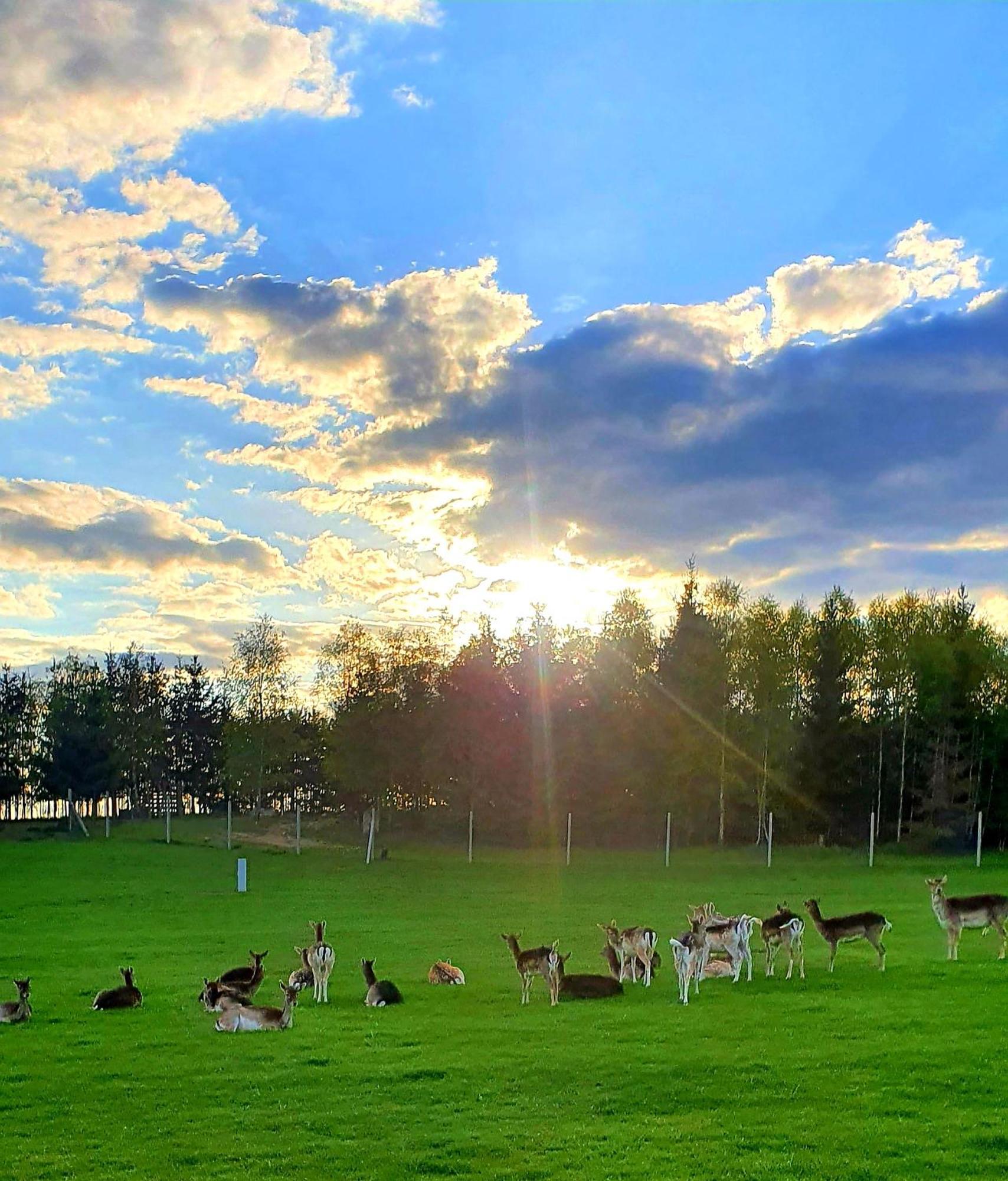 Przystan Nad Zatoka - Gospodarstwo Agroturystyczne Lubieszewo  Exterior foto