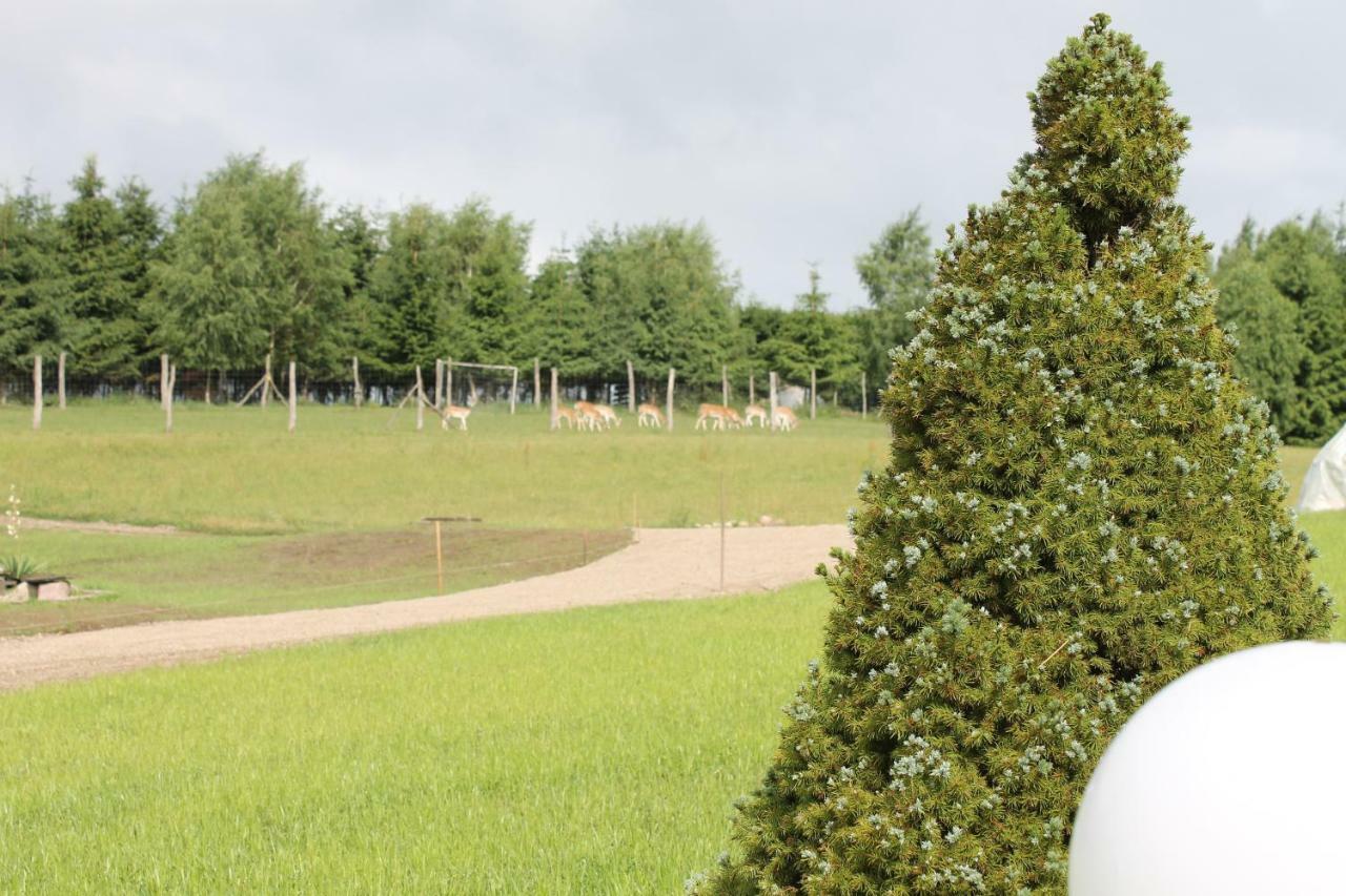 Przystan Nad Zatoka - Gospodarstwo Agroturystyczne Lubieszewo  Exterior foto